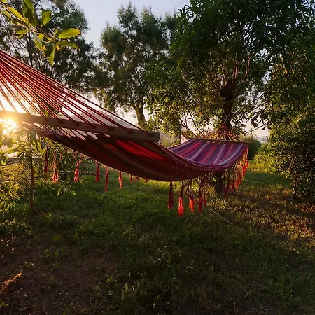 Saint Nicolas Πανσιόν