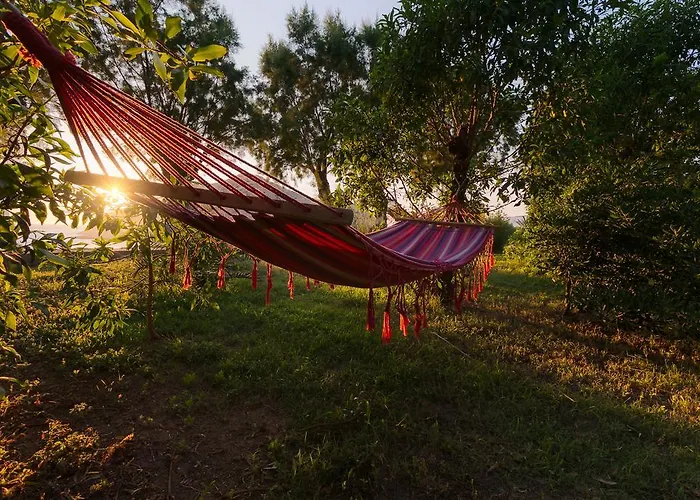 Saint Nicolas بيت ضيافة