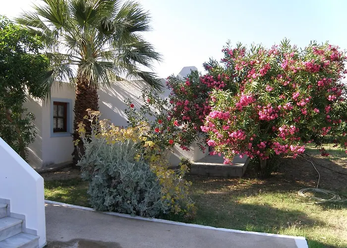 Saint Nicolas أركاسا